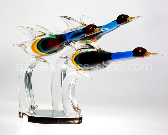 canards volant, canards volant