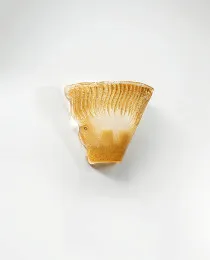 Applique ambre poncé