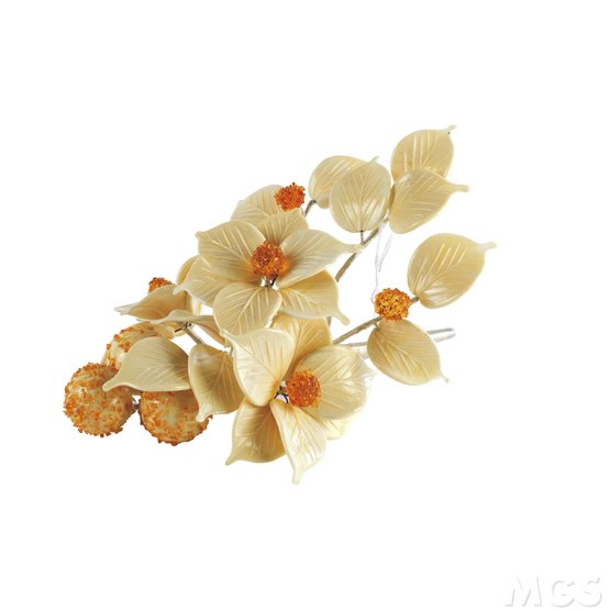 Branche avec grain, Branche avec grain
