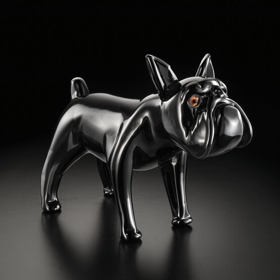 Bouledogue, Bouledogue noir