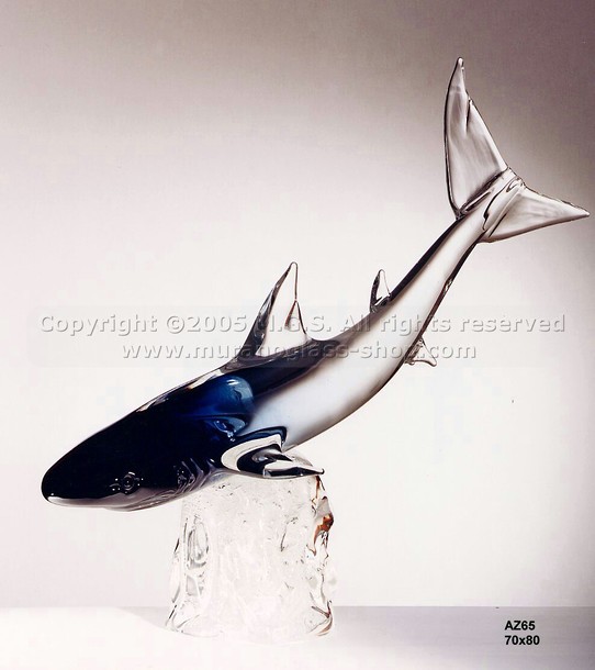 Requin de poisson, Requin de poisson