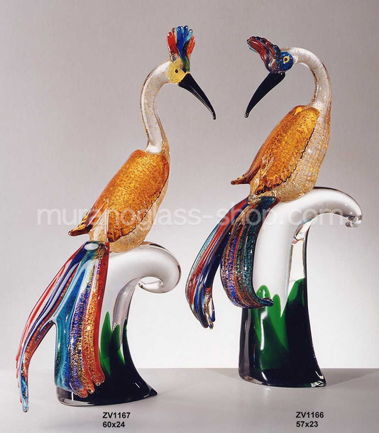 Oiseaux de paradis, Oiseau de paradis