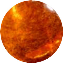 ambre